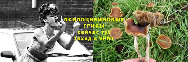 прущая мука Баксан