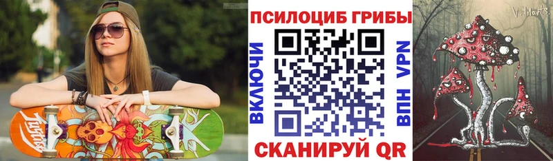 Псилоцибиновые грибы мицелий Чёрмоз